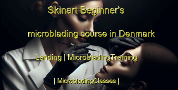 Skinart Beginner's microblading course in Denmark Landing | MicrobladingTraining | MicrobladingClasses | SkinartTraining-United States